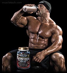 protein, isolate, supplement information, protein