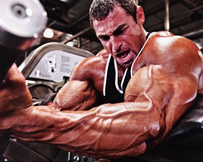 Blast Your Arms: Mark Alvisi Arm Workout Video By Gaspari Nutrition