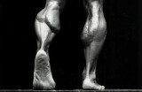 Calf Training Like A Beast! Muscle-Specific Hypertrophy Workouts
