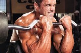 Biceps Exercise Instructions: How to Perform the Barbell Biceps Curl