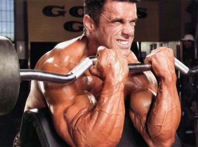 Biceps Exercise Instructions: How to Perform the Barbell Biceps Curl