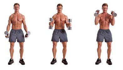 Biceps Exercise Instructions: How to Perform Biceps Hammer Curls