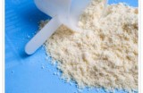 Heavy Metals Found In Protein Shakes: Should You Stop Drinking Them?