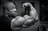 Muscle Building Q & A: 10 Fitness Industry Experts Tell All