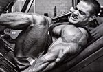 No Pain No Gain: Fitness Myth or Ultimate Fitness Truth?