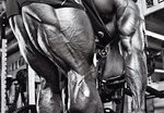 Back to Basics: Are We Activating Our Glutes Properly?