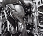 Back to Basics: Are We Activating Our Glutes Properly?