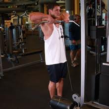 Triceps Exercise Instructions:How to Perform the Upright Cable Row