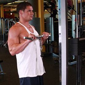 Biceps Exercise Instructions: How to Perform Reverse Grip Cable Curls