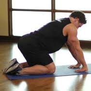 Forearm Exercise Instructions: How to Perform Kneeling Forearm Stretch