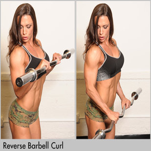 Biceps Exercise Instructions: How to Perform Reverse Grips Barbell Curls