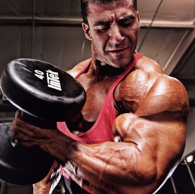 Breaking the Plateau: Training for the Advanced Body Builders