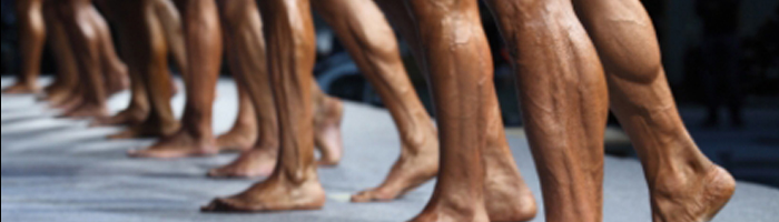 Calves