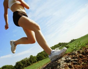 shutterstock_19723285