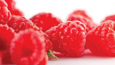 Is Raspberry Ketone Really Safe?