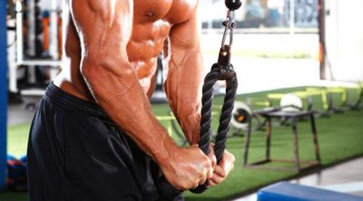 10 Common Myths about Upper Body Training