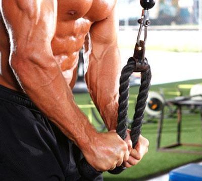 10 Common Myths about Upper Body Training