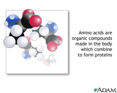 Amino Acid Supplements on Amino Acids List   A Complete Amino Acid Guide   Directlyfitness Com